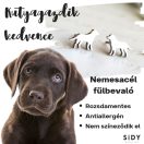 Állatos ékszerek Állatos ékszerek