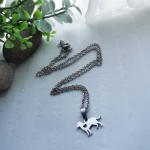 Nemesacél kutya nyaklánc